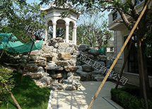 �Ƹ����ݾ��۹���