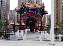 ������԰�Ž�����