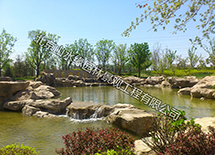 �����ظ�ˮϵ����