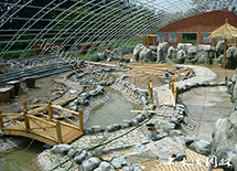 ��̬���ﾰ�۹���