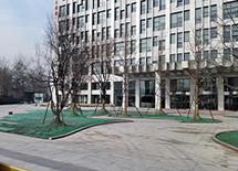 ���������̻�����