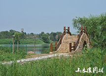 ������ʹ���