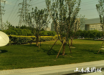 11�йش�����԰����