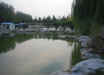 ̫��ʯ����ͼ