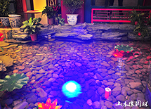 ���ɺ�ľˮϵ