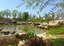 �����ظ�ˮϵ