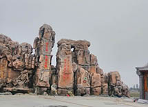 ������̬ũҵ԰����