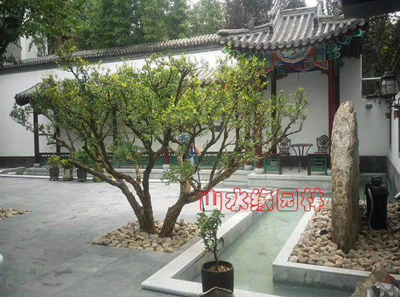 ��������ͥԺ